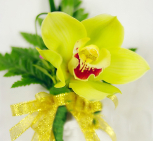 昆明花卉聯(lián)盟,昆明聯(lián)盟路花卉圖片|昆明花卉聯(lián)盟,昆明聯(lián)盟路花卉產(chǎn)品圖片由昆明蝶戀婚慶(花卉服務部)公司生產(chǎn)提供-