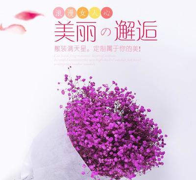 【云南干花批發(fā) 散裝滿天星花束 產(chǎn)地直銷純自然風(fēng)干花束永生花】價格_廠家_圖片 -