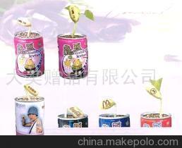 【寵物花卉,魔豆各地代理(圖)】?jī)r(jià)格,廠(chǎng)家,圖片,娛樂(lè)休閑產(chǎn)品代理加盟,大美禮品 -